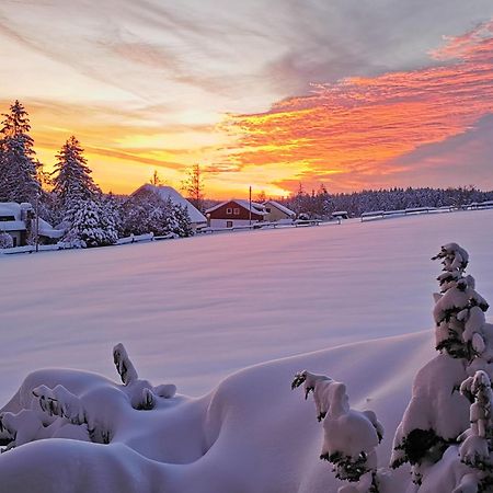 Landpension Pferdekoppel - B&B - Self Checkin Seewald Luaran gambar